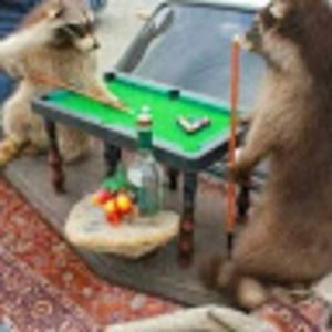 Meet your Posher, Seth